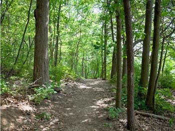 Picturesque nature trails